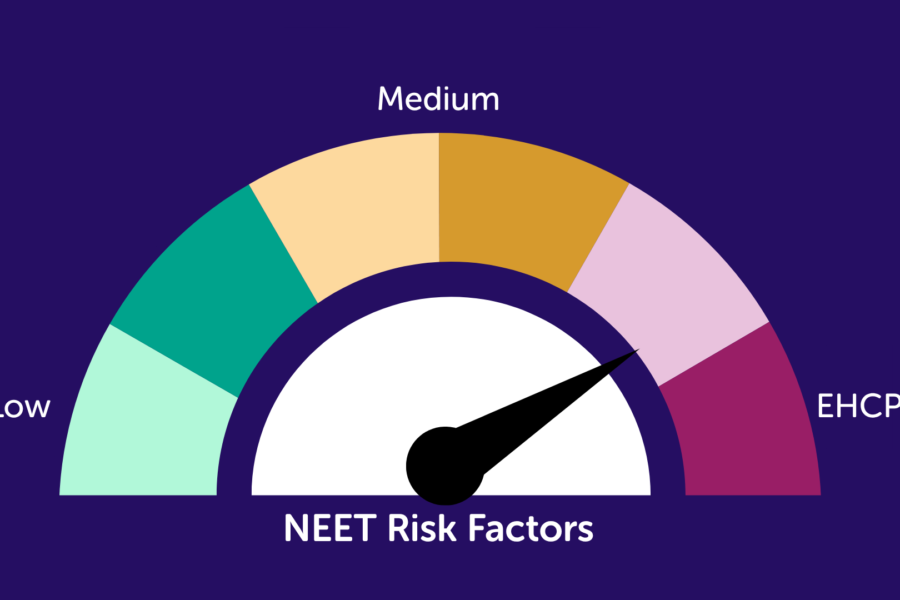 Titled NEET risk factors. Contains a coloured scale going from low, to medium, to 'ECHP' where you might expect high.